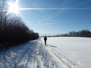 Why You Feel Depressed and How to Beat Depression