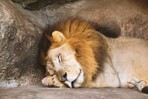 How to Sleep Better and Deeper