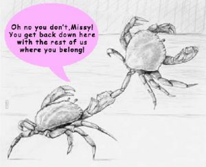 The Crabs in a Bucket Mentality (And How to Escape)