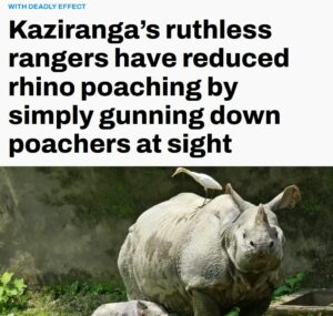 Fight Fire With Fire – Lesson From Kaziranga National Park