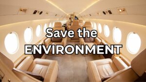 You Must Save The Environment