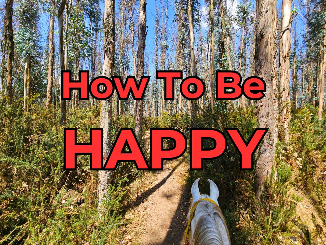 How To Be Happy At All Times How to Be Happy at All Times