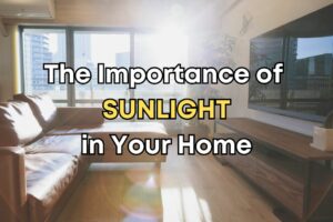 Why Sunlight is Important For a House