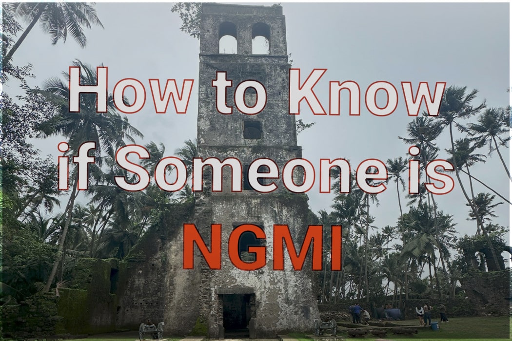 How to Know if Someone is NGMI(1)-min How to Know if Someone is NGMI