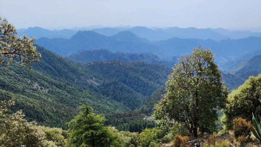 Forested mountain valleys fading into blue ridges