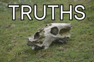 Some Truths in No Particular Order
