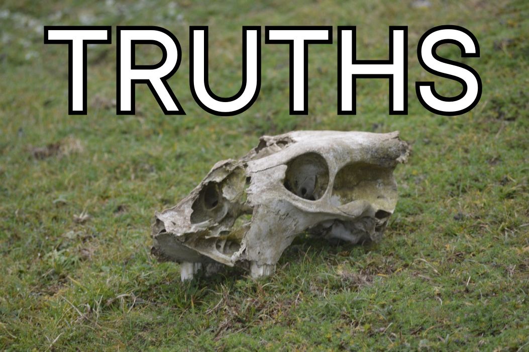 TRUTHS Some Truths in No Particular Order