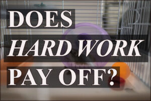 Does Hard Work Pay Off?