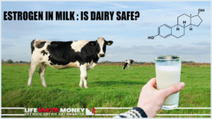 Estrogen in Milk: Is Dairy Safe? (Nutrition For Health and Hypertrophy Part 9)